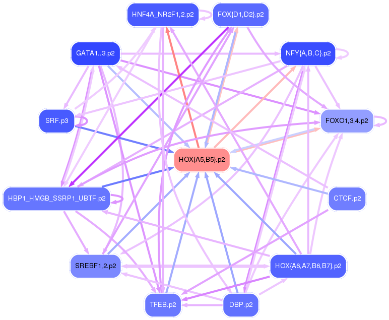 PNG image of the network